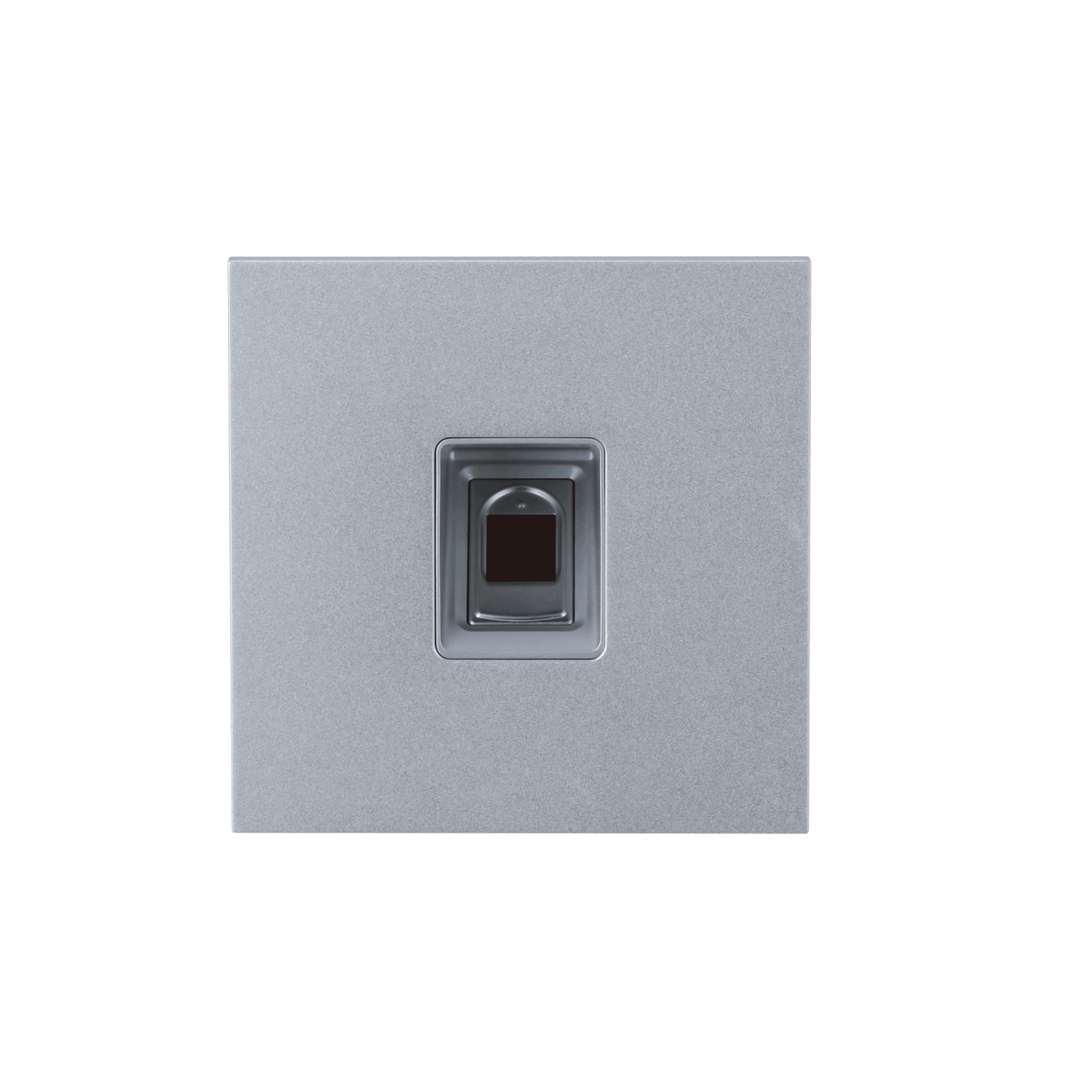 lightbox image lightbox image