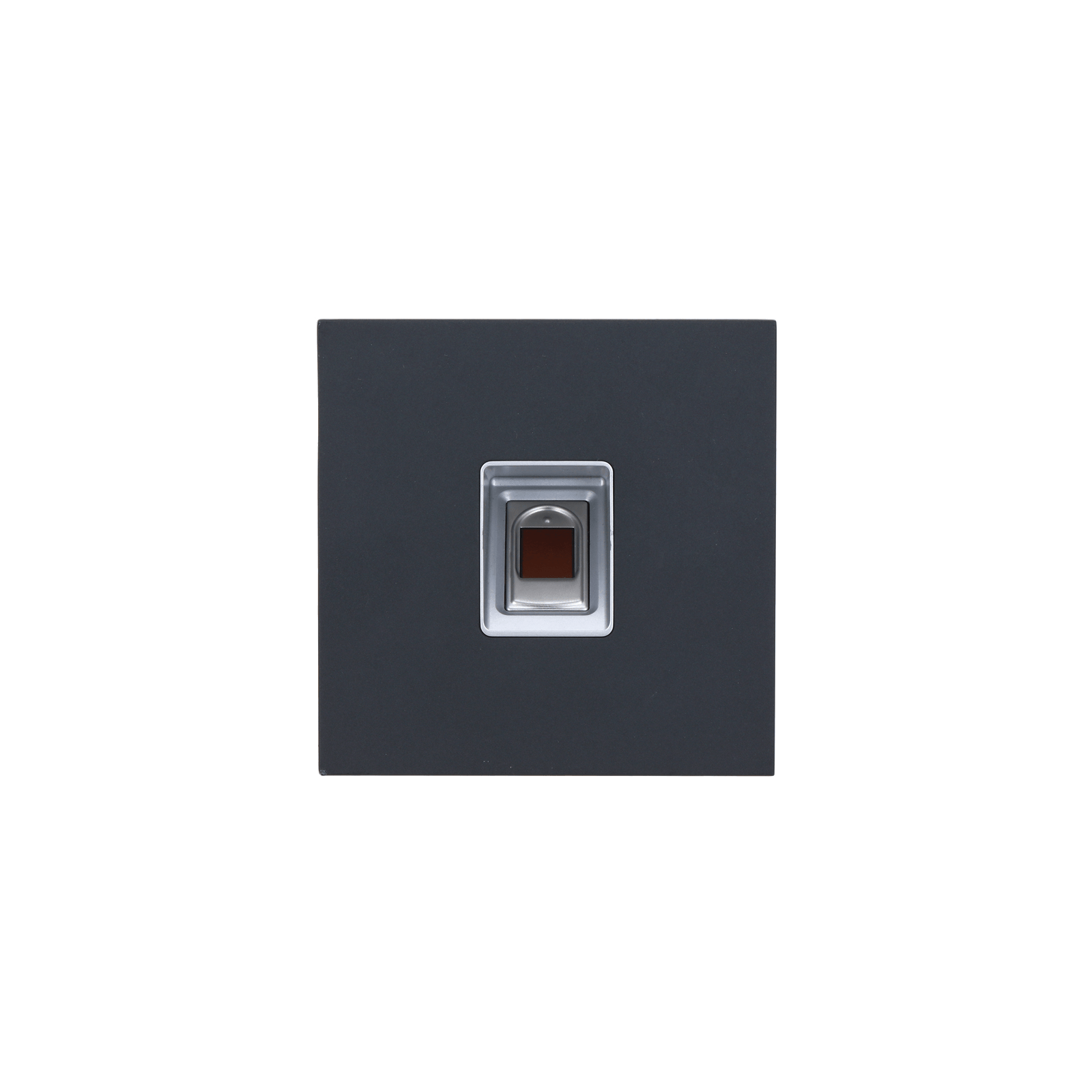 lightbox image lightbox image